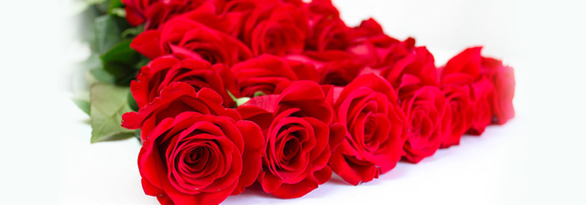 Essence Decor & Floral
